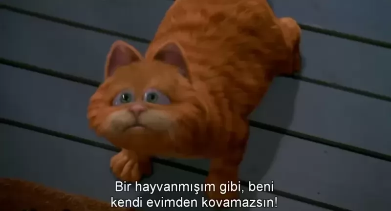 Bir hayvanmışım gibi beni kendi evimden kovamazsın. - Garfield
